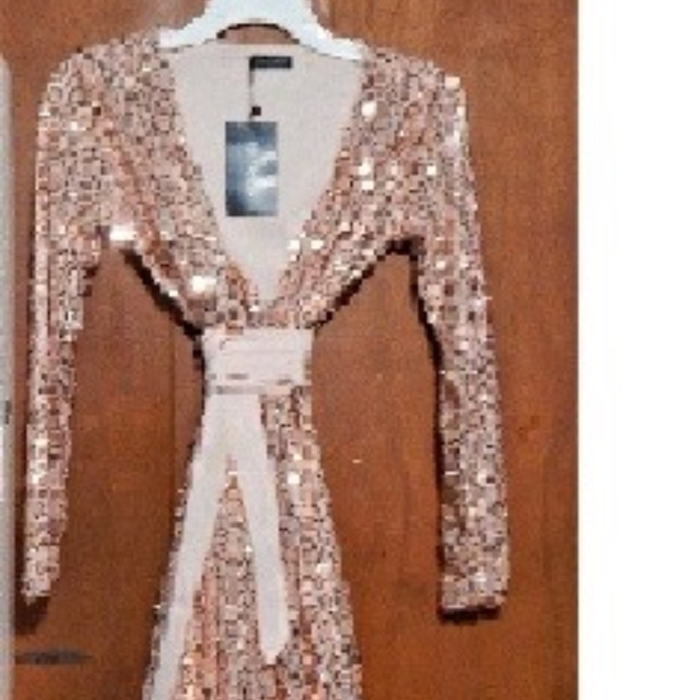 NWT EMPRADA SEQUINED GOWN, SIZE S NEVER WORN